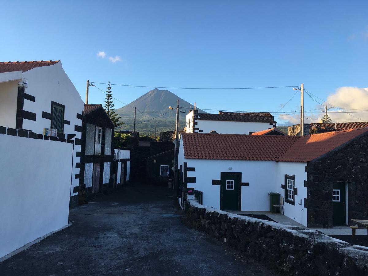 Вилла Casa Do Avo Cristiano Мадалена Экстерьер фото